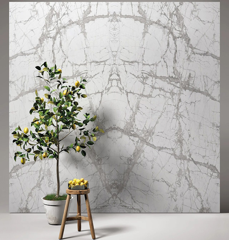 Fantastic White Marble Slabs